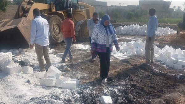 جانب من الحملة 