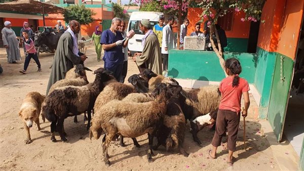 جانب من القافلة 