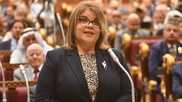 النائبة فيبي فوزي،