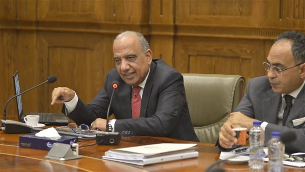 وزير قطاع الأعمال