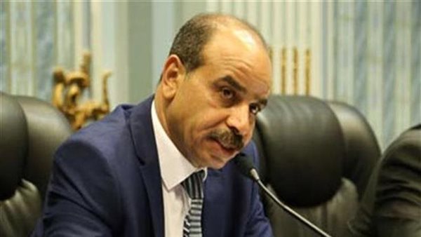 هشام الشعينى