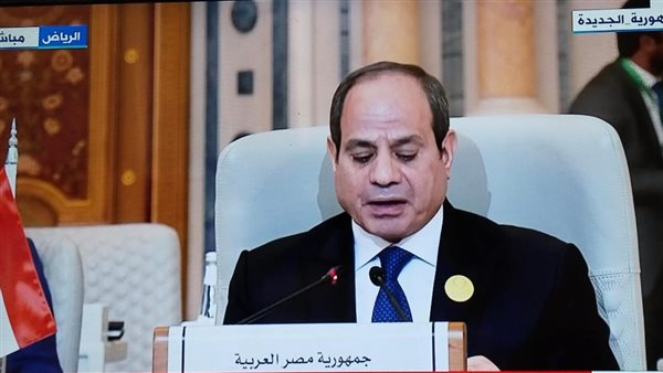 الرئيس السيسي 