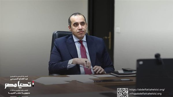 المستشار محمود فوزى