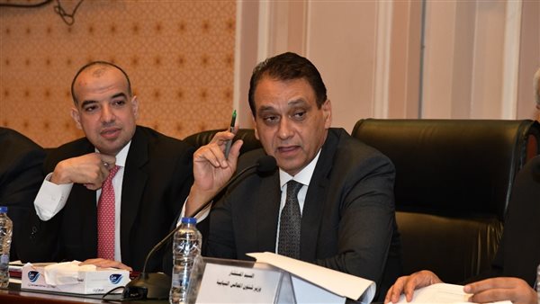 وزير شئون المجالس