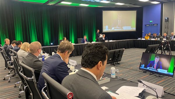 جانب من اللقاء