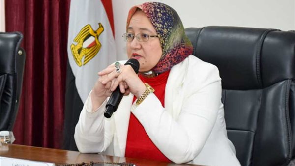 وكيل أول الوزارة