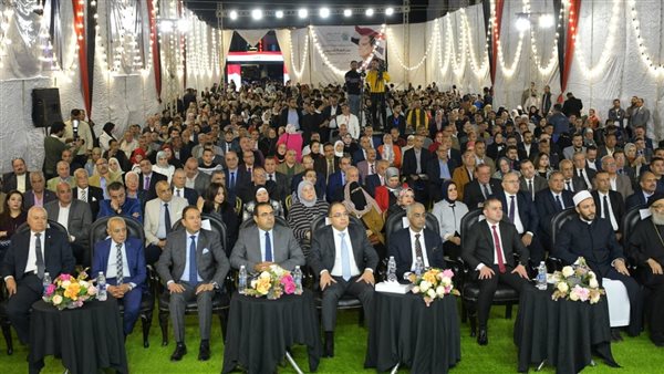 خلال مؤتمر لدعم السيسي..التحالف