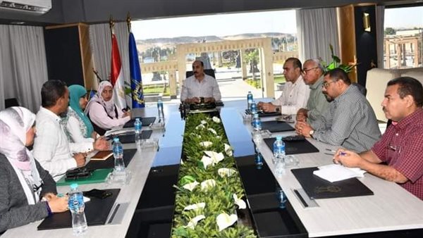 محافظ أسوان 