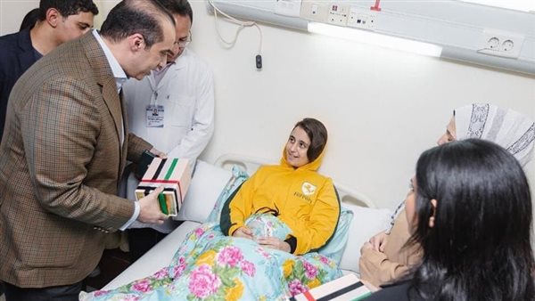  المستشار محمود فوزي