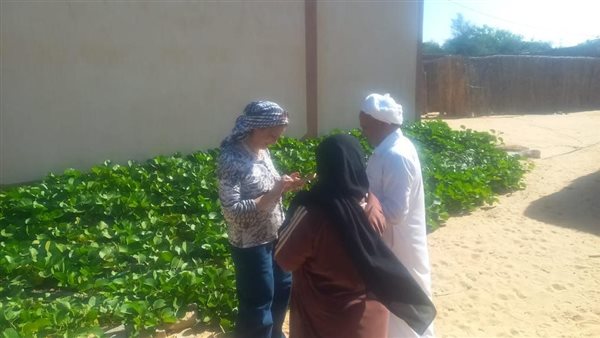 جانب من الفاعلية