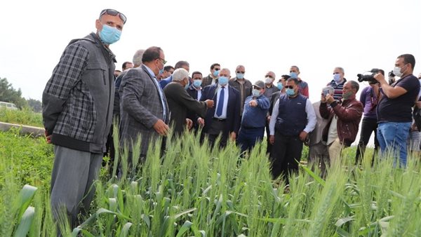 مشروعات زراعية -