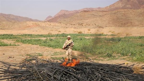 صورة من التفتيش 