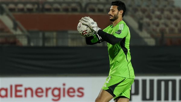 محمد الشناوي