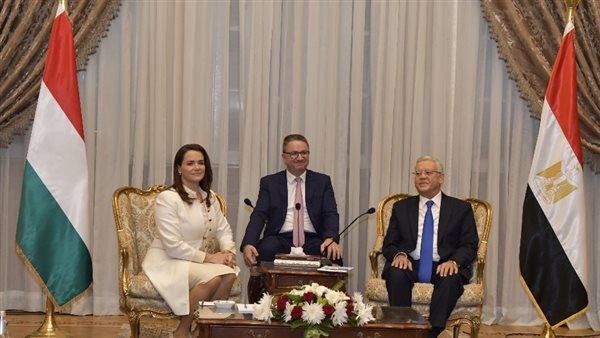  الدكتورحنفي جبالي