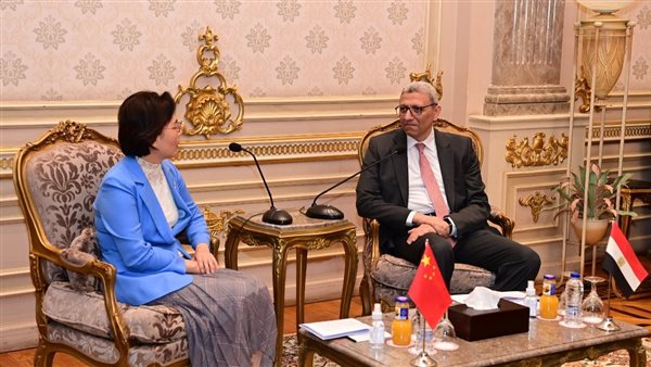 جانب من اللقاء 