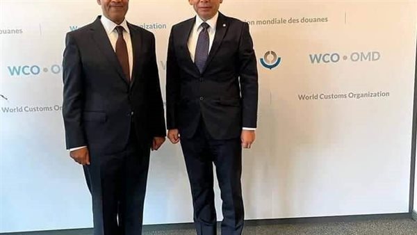 بدر عبد العاطي