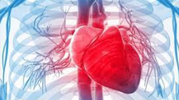 بحث جديد يقدم نتائج واعدة في مجال علاج أمراض القلب 