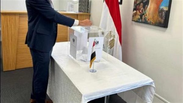 السفير أحمد فاروق