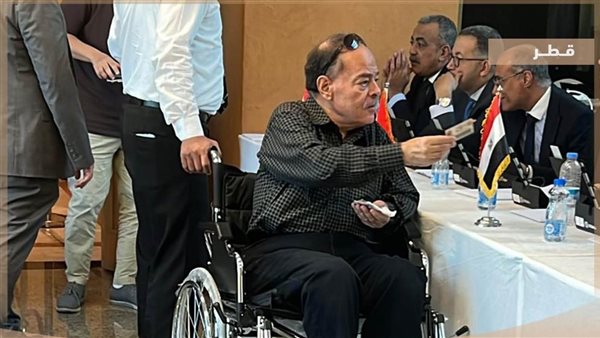 مشاركة المصريين 