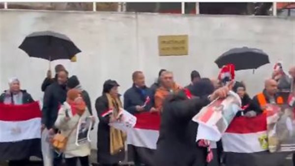 الجالية المصرية تشارك