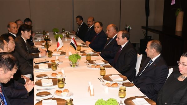 جانب من اللقاء 