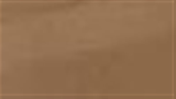 احد الناخبين 