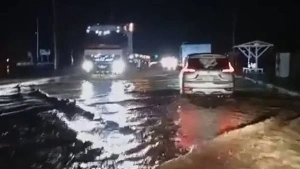 سيول مرسى علم 