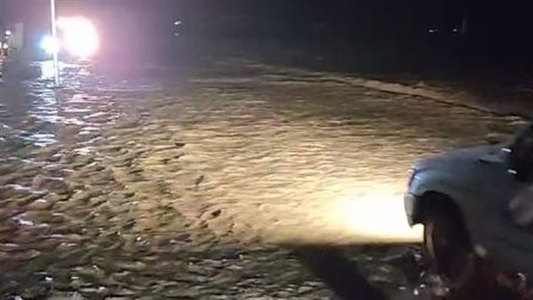 سيول مرسى علم 