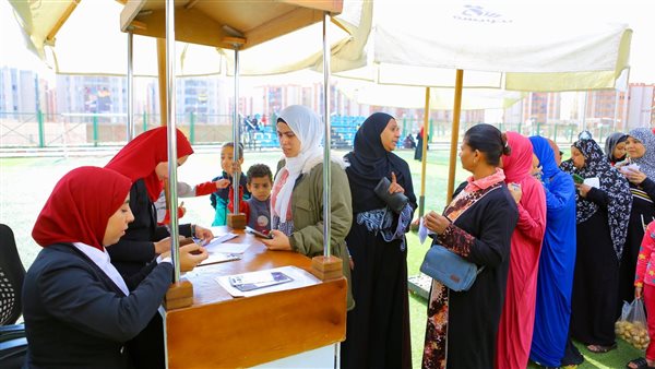 صورة  من نموذج المحاكاة