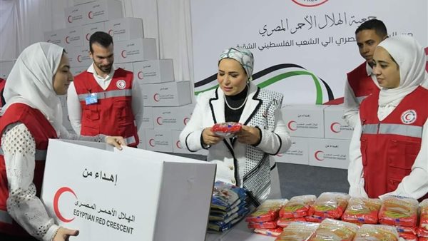 السيدة انتصار السيسي