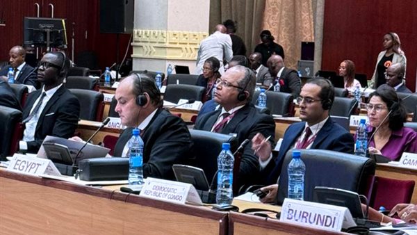 جانب من فعاليات المجلس