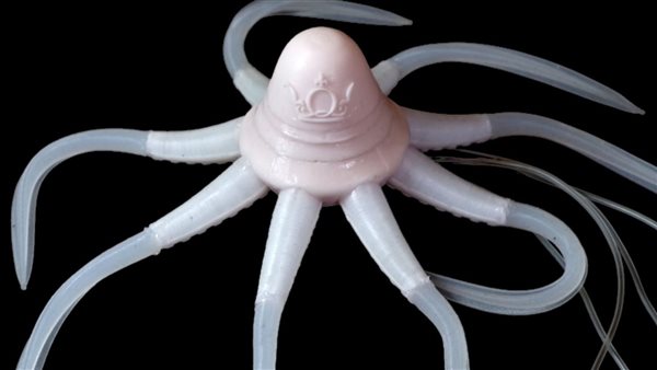 اخطبوط روبوت 