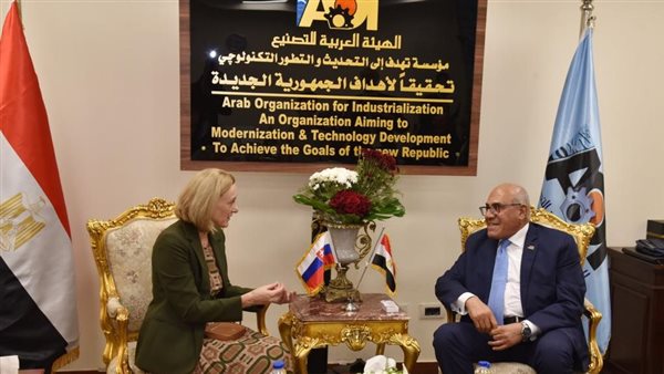 رئيس الهيئة العربية