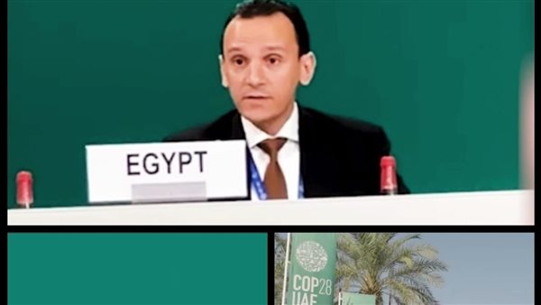 الدكتور عبد الخالق