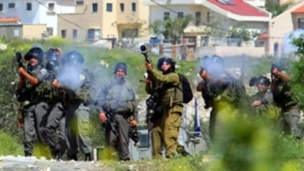 صور ارشيفية