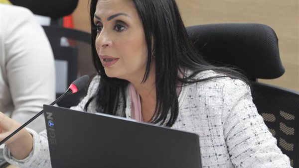 مايا مرسي رئيسة المجلس