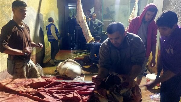 حزب حماة الوطن بالقليوبية