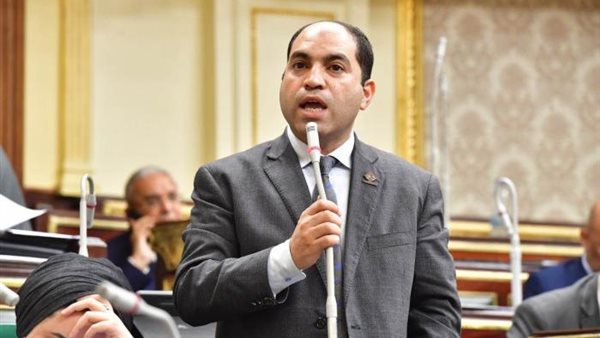 النائب عمرو درويش