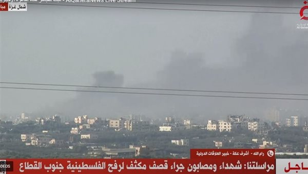 نقلا عن  قناة «القاهرة