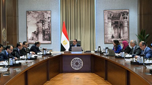 رئيس الوزراء يبحث