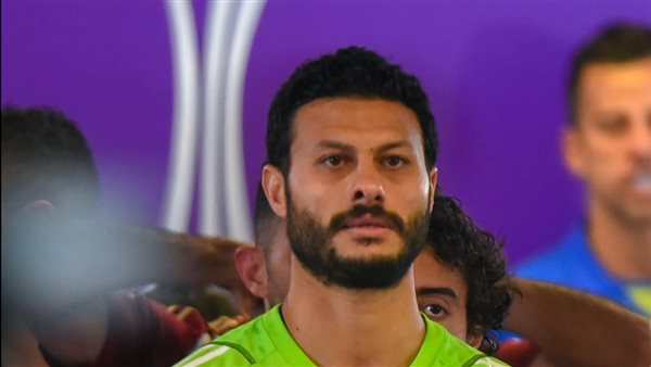 محمد الشناوي 