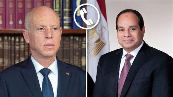 الرئيس السيسي يتلقي