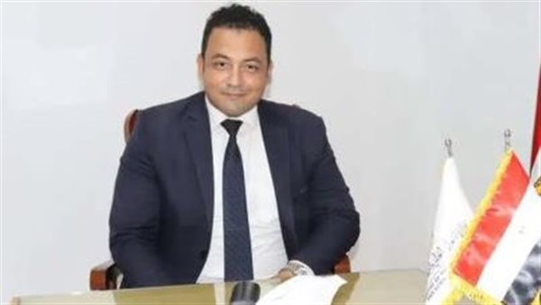  رامي عاشور، أستاذ