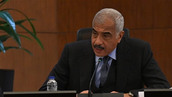 هشام طلعت مصطفى