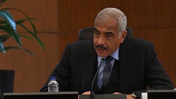 هشام طلعت مصطفى 