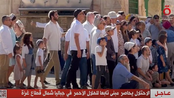 نقلا عن  قناة «القاهرة