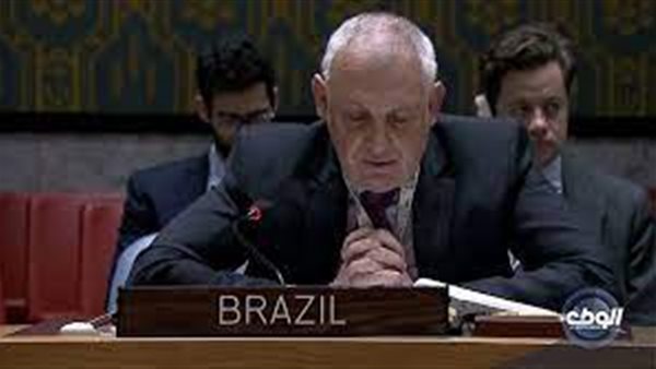 مندوب البرازيل لدي