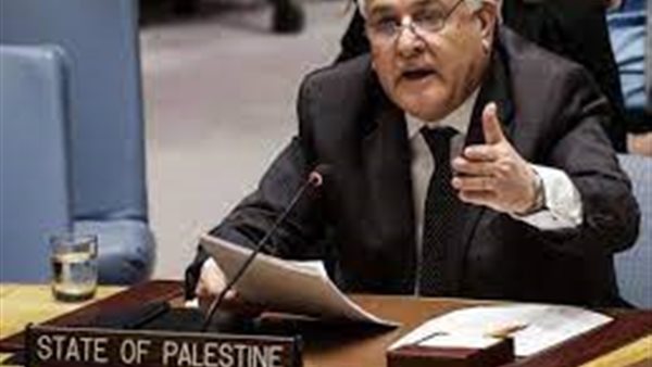 رياض منصور، مندوب