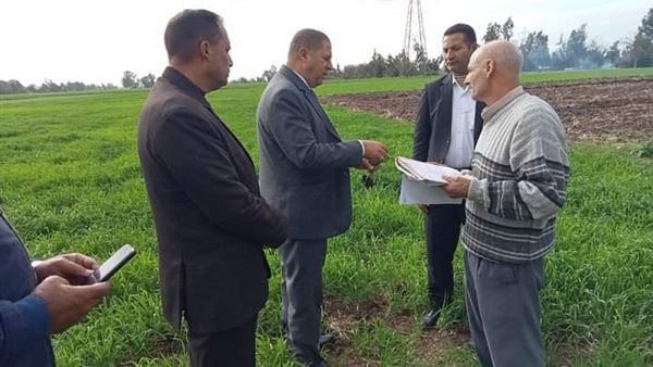 حصر مساحات القمح