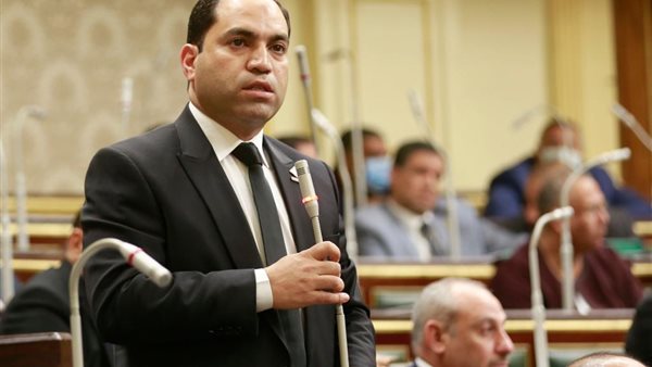  النائب عمرو درويش